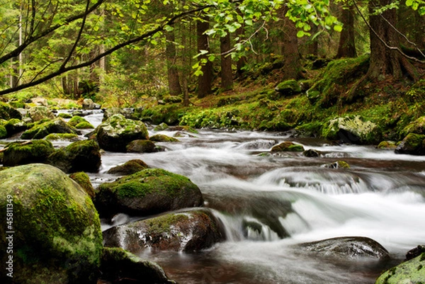 Fototapeta Torrente di montagna