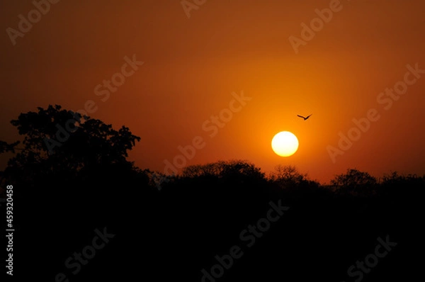 Fototapeta Por do Sol no cerrado de goias