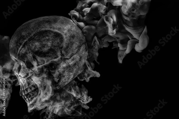 Fototapeta Abstract Smoke going through a Skull on Black