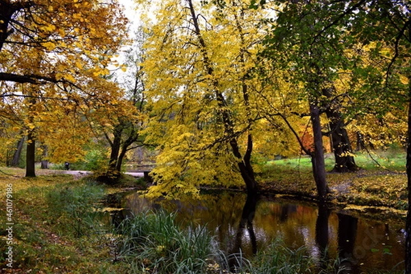 Fototapeta autumn in the park