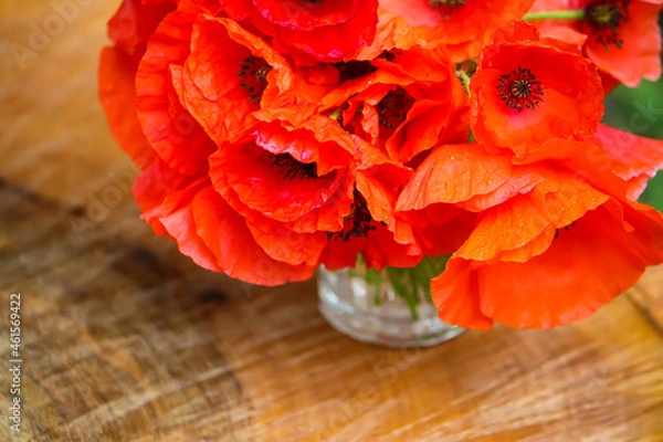 Fototapeta Beautiful bouquet of the red poppy flowers on ree stump outddors