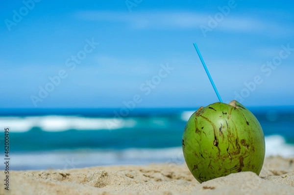 Fototapeta Foto de um coco na praia de frente pro mar.