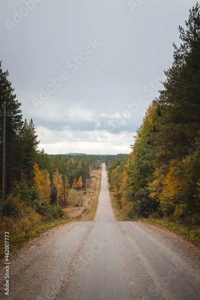 Fototapeta Autumn fairy tale in Kainuu, Finland. The colourful deciduous trees around the dirt road in autumn. Morning light shining on orange leaves