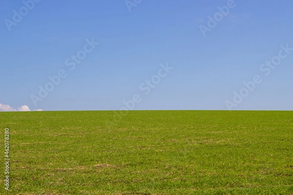 Fototapeta landscape green field in autumn
