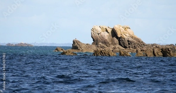 Fototapeta îlot rocheux , archipel de Chausey, Manche, Normandie