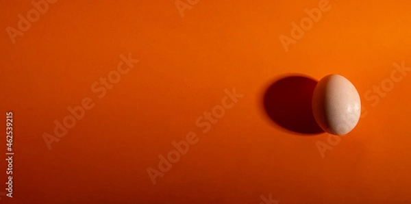 Fototapeta whole eggs on healthy orange background