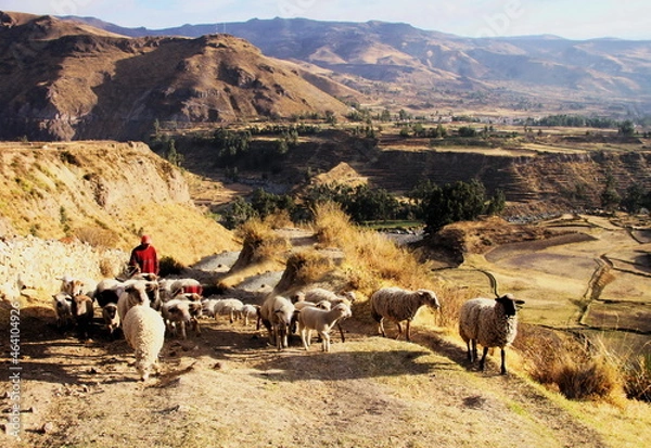 Fototapeta Colca Valley Arequipa Peru