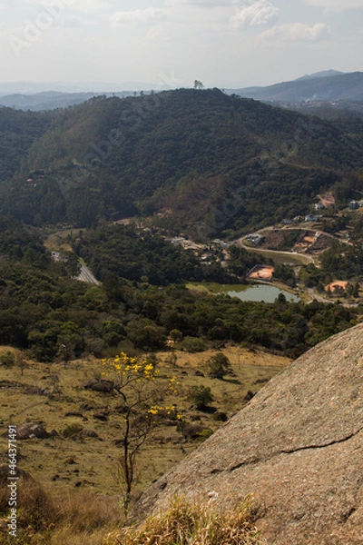 Fototapeta Ipê no Pico do Olho D'água