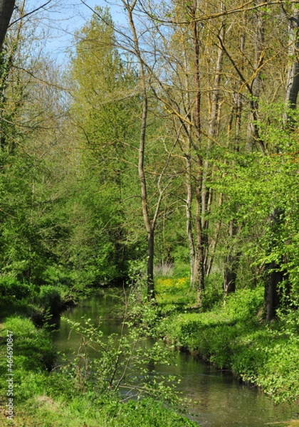 Fototapeta Armenonville, France - may 6 2016 : picturesque village