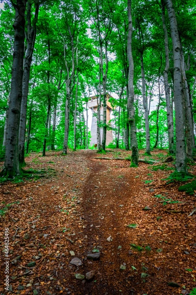 Fototapeta HIking around Dragon Lake in the Bavarian Forests