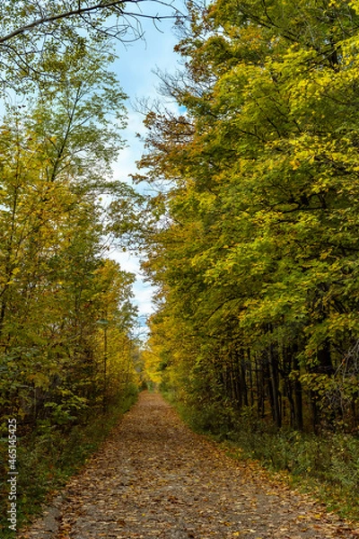 Fototapeta Mount Nemo Conservation Area during the autumn - Burlington, Ontario, Canada