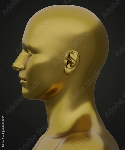 Fototapeta 3d rendering of human face anatomy