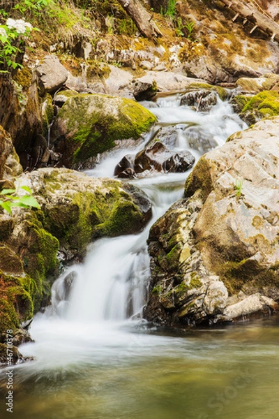 Fototapeta Beautiful mountain river of Altai