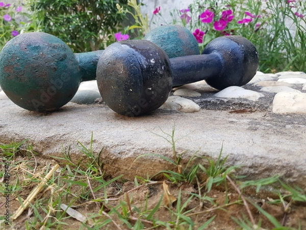 Fototapeta dumbbell on grass