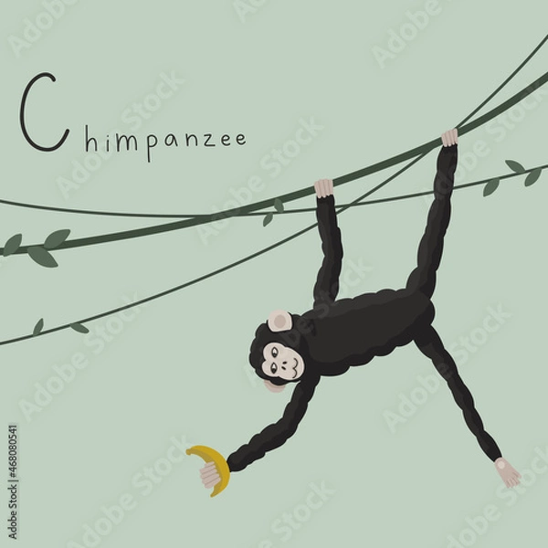 Fototapeta Cute fluffy chimpanzee in the whisty jungle on a liana. Letter C from the alphabet. Cute baby animal illustration.