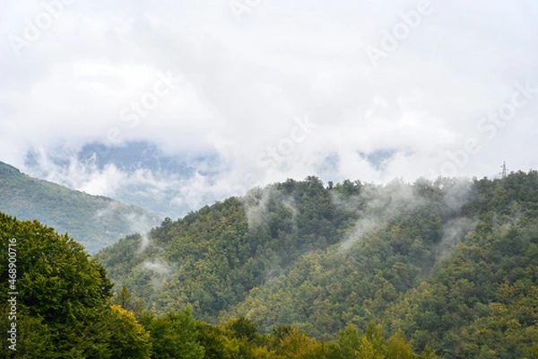 Fototapeta Fog and clouds above green trees in forest. Foggy day in mountains.