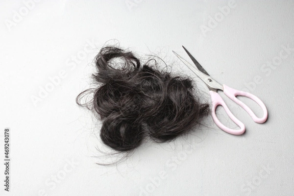 Fototapeta A lock of black hair and a scissors on a white surface