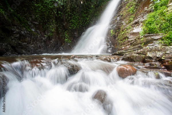 Fototapeta waterfall in the forest