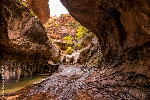 Fototapeta Magnificent Subway gorge landmark in the Zion National Park in Utah