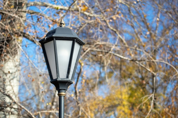 Fototapeta Street lamp in the park