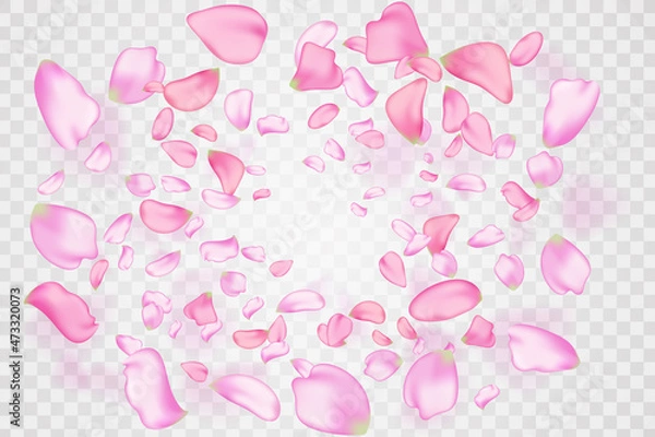 Fototapeta Pink falling sakura petals and flowers.Nature horizontal background.