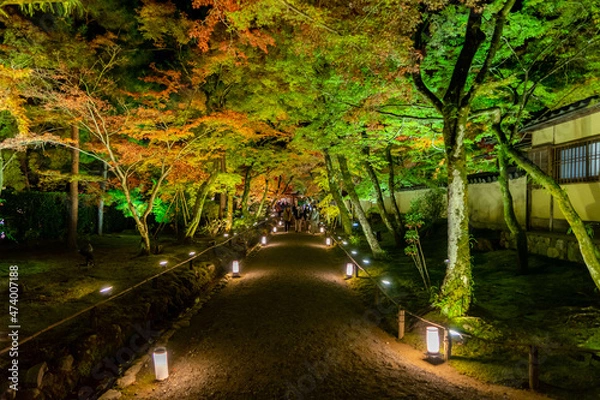 Fototapeta 宝厳院