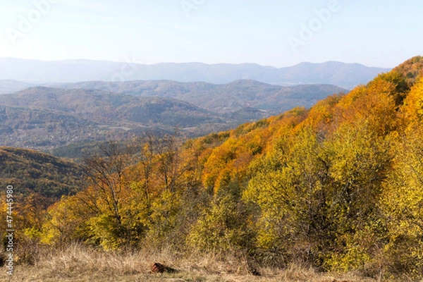 Fototapeta Autumn Landscape of Erul mountain near Kamenititsa peak, Bulgaria