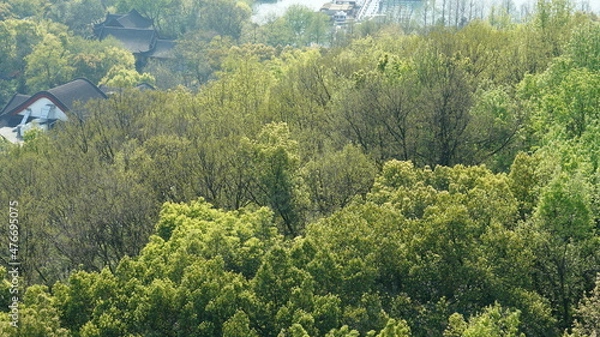 Fototapeta The beautiful lake landscapes in the Hangzhou city of the China in spring with fresh green mountains