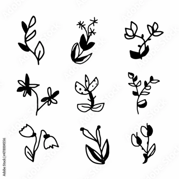 Fototapeta Vector simple flowers set. Black and white isolated elements.