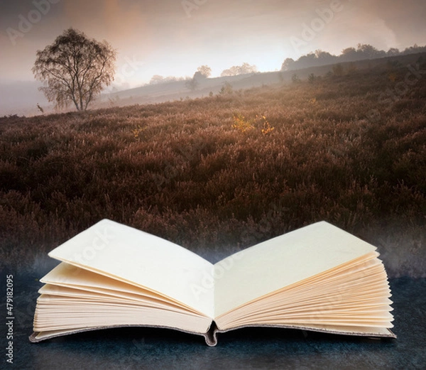 Fototapeta Foggy misty Autumn forest landscape at dawn coming out of pages on book in composite image