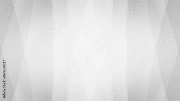 Fototapeta Abstract geometric white and gray curve line gradient Background. with space for concept design Technology and business.