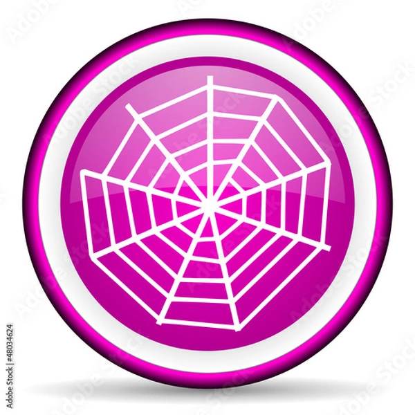 Fototapeta spider web violet glossy icon on white background