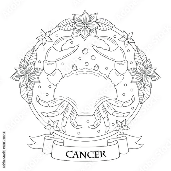 Fototapeta cancer horoscope illustration with outline or doodle style