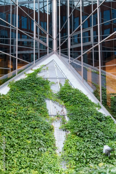 Fototapeta Eco-friendly office glass building with greenery.