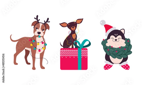 Fototapeta Cute Dogs of Different Breed Tangled with Garland and Sitting on Gift Box Vector Set