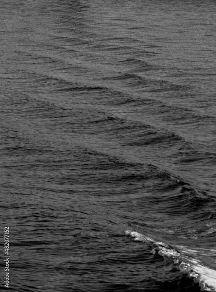 Fototapeta black and white water texture