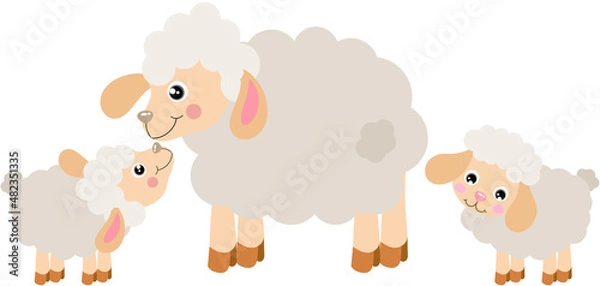 Fototapeta Mum sheep with babies lambs