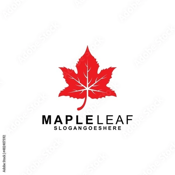 Fototapeta Maple Leaf Logo Template Design Vector, Emblem, Design Concept, Creative Symbol, Icon