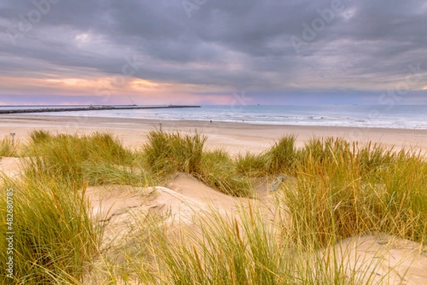 Fototapeta Landscape view of sand dune on the North sea coast