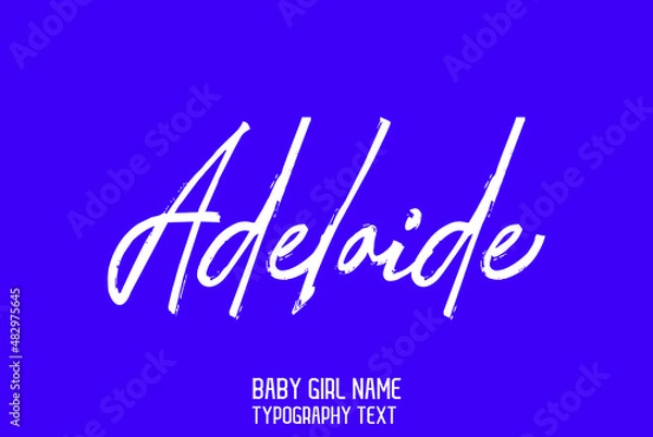 Fototapeta Woman's name Adelaide in Cursive Brush Calligraphy Text Design on Blue Background