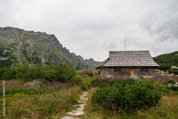 Fototapeta Tatry mountains