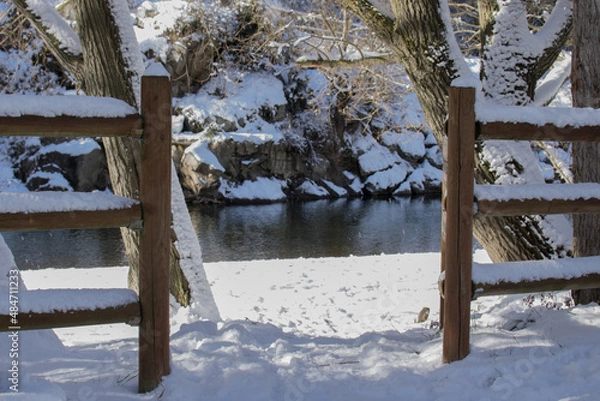 Fototapeta Snowing on the river