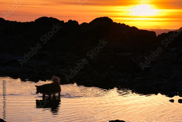 Fototapeta Sun setting over a Ucluelet rocky shoreline