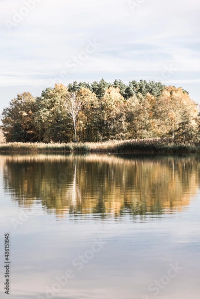 Fototapeta Autumn