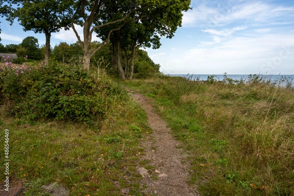 Fototapeta A hiking path through lush vegetation. Blue water and a blu sky in the background. Picture from Skalderviken, southern Sweden