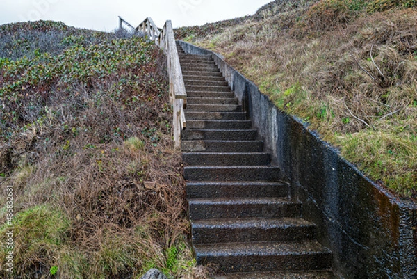 Fototapeta A concrete stairway on the Captain Cook Trail at Cape Perpetua State Park in Oregon, USA