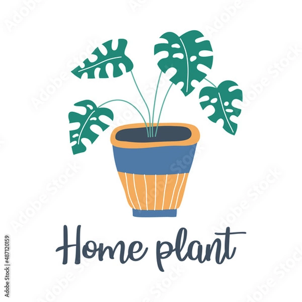 Fototapeta Home plant in cute pot in hand drawn style. Home decorations and interior design elements. Perfect for t-shirt, apparel, cards, poster, stickers. Isolated on white background vector illustration