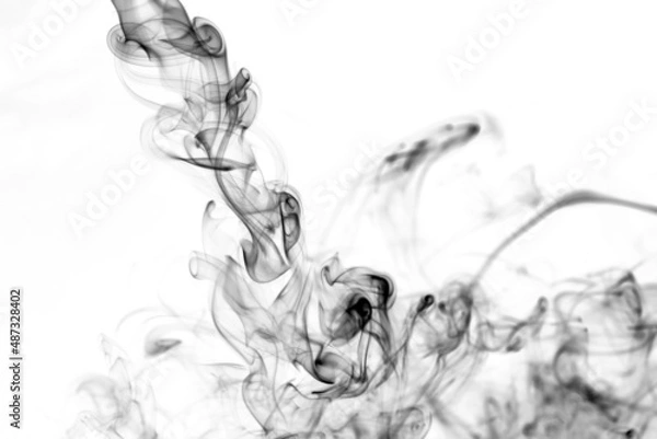 Fototapeta Twisted plumes of smoke, movement of black smoke on a white background. Abstract smoke lines