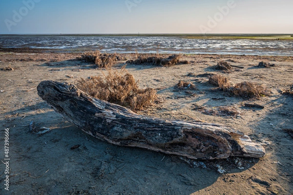 Fototapeta The sea in winter in Grado. Friuli