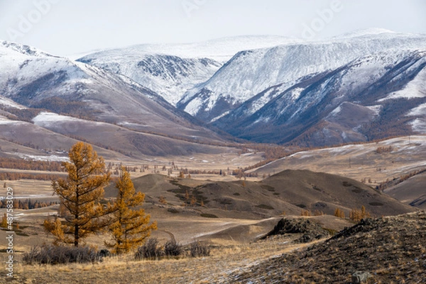 Fototapeta Altai